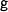  \mathsf{g}